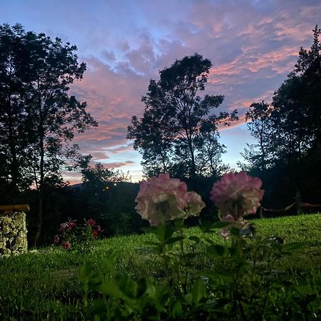 Casutele Din Poienita Villa Comarnic Bagian luar foto