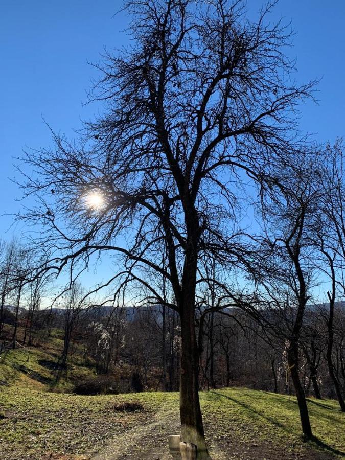 Casutele Din Poienita Villa Comarnic Bagian luar foto
