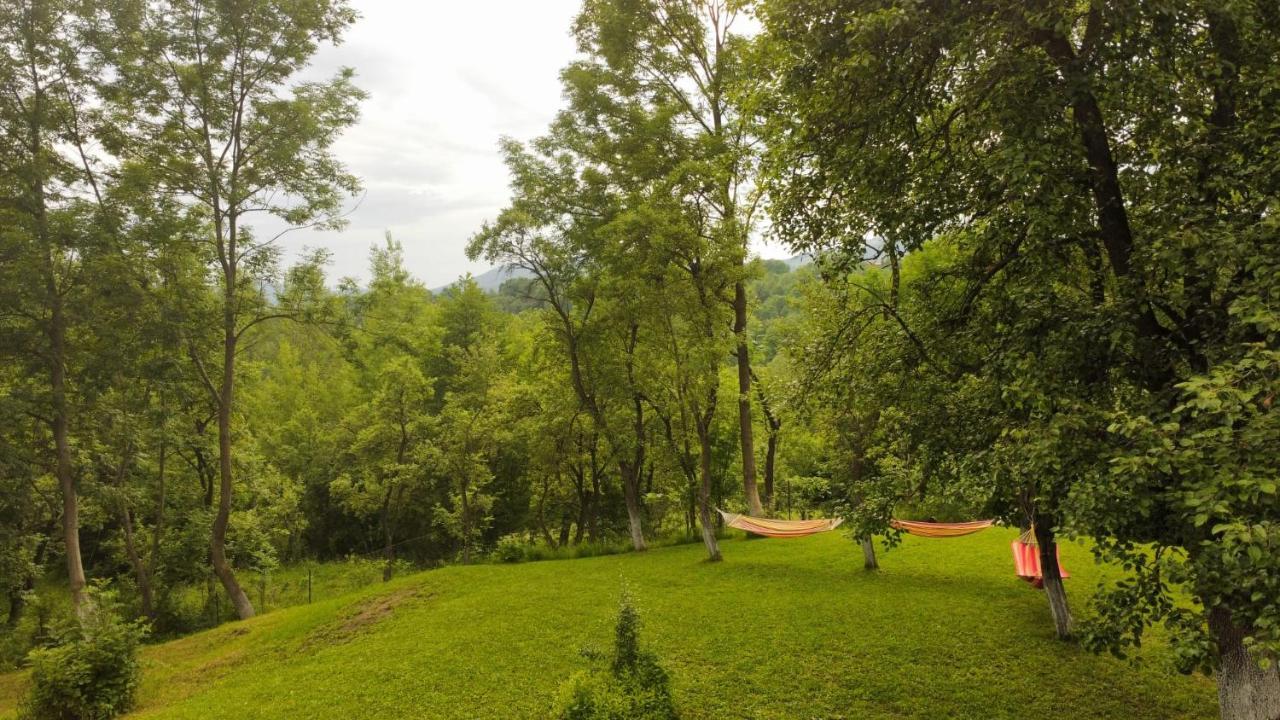 Casutele Din Poienita Villa Comarnic Bagian luar foto