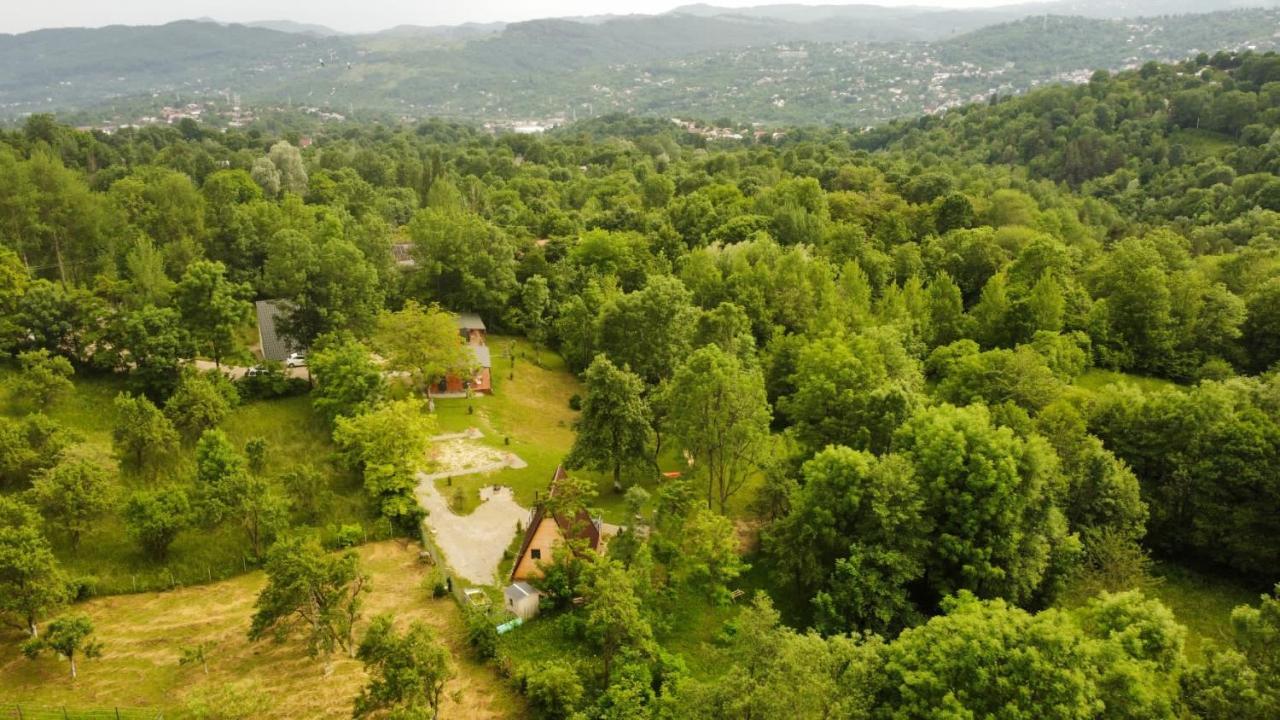 Casutele Din Poienita Villa Comarnic Bagian luar foto