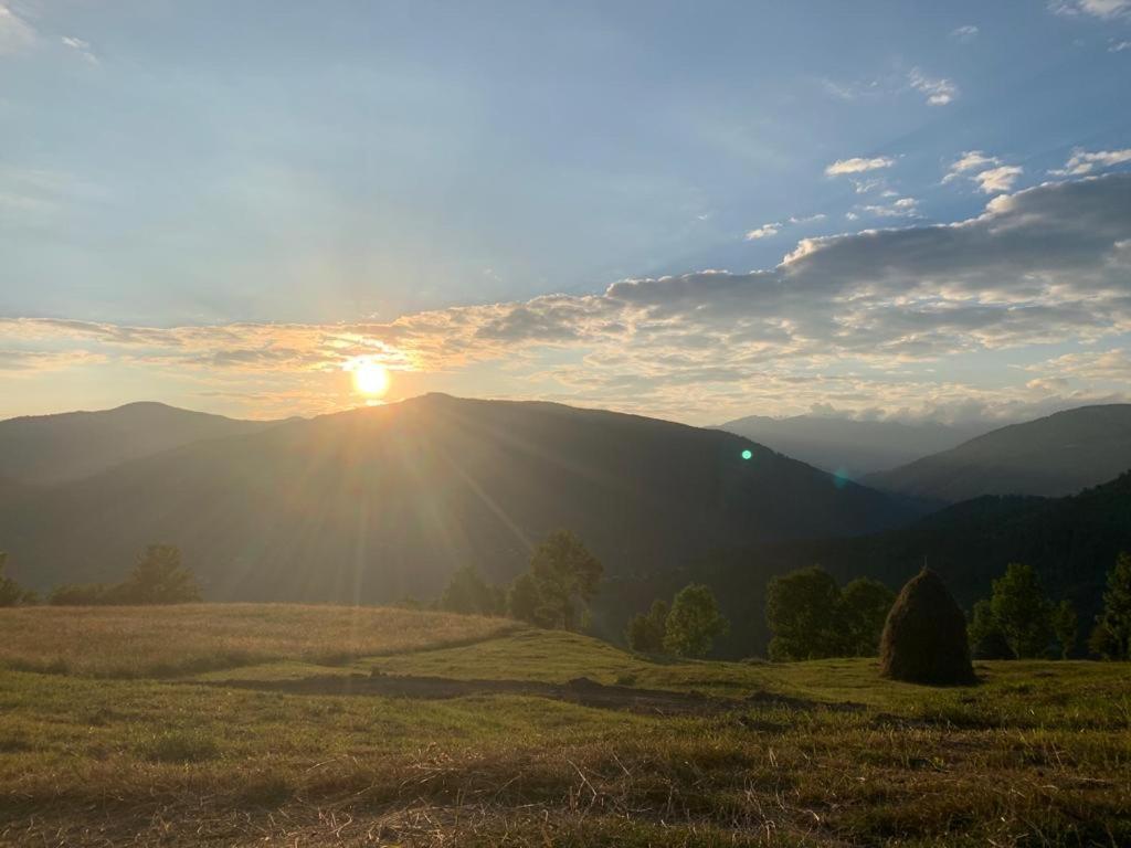 Casutele Din Poienita Villa Comarnic Bagian luar foto