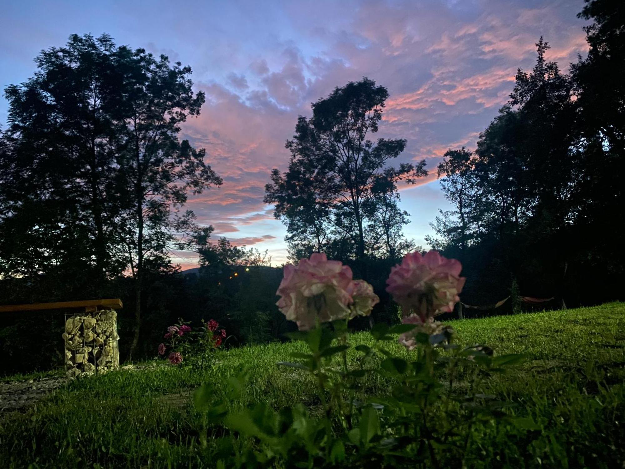 Casutele Din Poienita Villa Comarnic Bagian luar foto