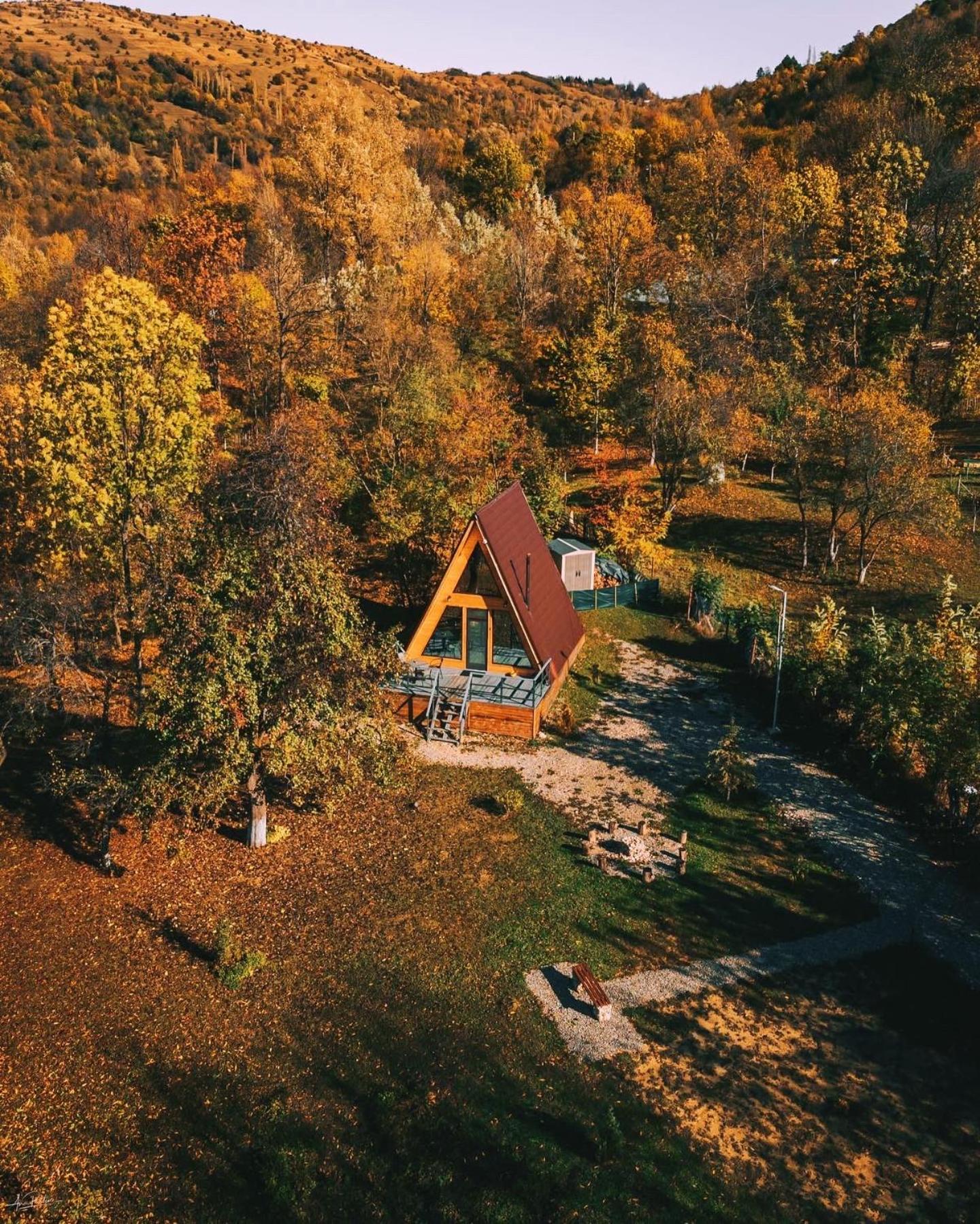 Casutele Din Poienita Villa Comarnic Bagian luar foto